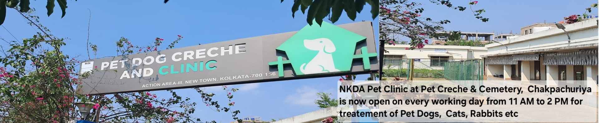 Pet Clinic Banner